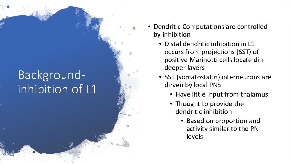 Backgroundinhibition of L 1 • Dendritic Computations are controlled by inhibition • Distal dendritic Backgroundinhibition of L 1 • Dendritic Computations are controlled by inhibition • Distal dendritic