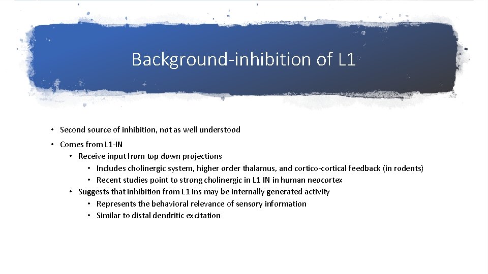 Background-inhibition of L 1 • Second source of inhibition, not as well understood • Background-inhibition of L 1 • Second source of inhibition, not as well understood •