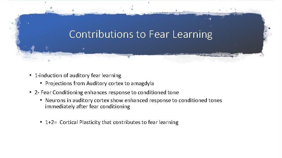 Contributions to Fear Learning • 1 -induction of auditory fear learning • Projections from Contributions to Fear Learning • 1 -induction of auditory fear learning • Projections from