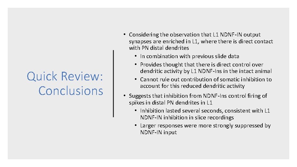 Quick Review: Conclusions • Considering the observation that L 1 NDNF-IN output synapses are Quick Review: Conclusions • Considering the observation that L 1 NDNF-IN output synapses are