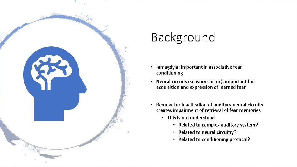 Background • -amagdyla: important in associative fear conditioning • Neural circuits (sensory cortex): important Background • -amagdyla: important in associative fear conditioning • Neural circuits (sensory cortex): important
