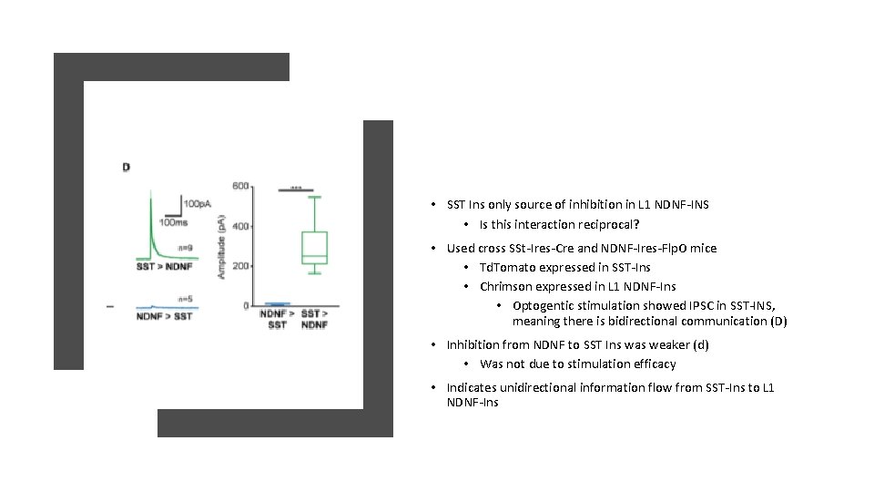 • SST Ins only source of inhibition in L 1 NDNF-INS • Is • SST Ins only source of inhibition in L 1 NDNF-INS • Is
