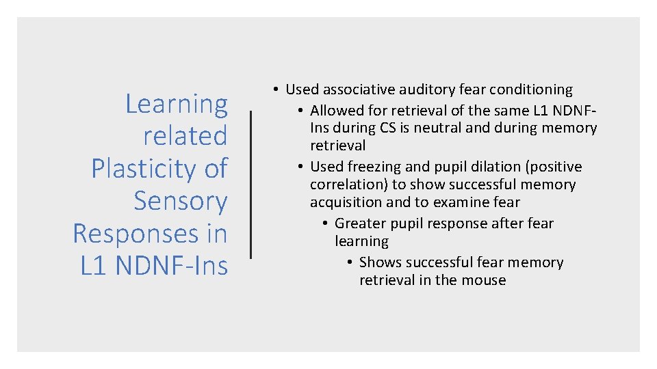 Learning related Plasticity of Sensory Responses in L 1 NDNF-Ins • Used associative auditory Learning related Plasticity of Sensory Responses in L 1 NDNF-Ins • Used associative auditory