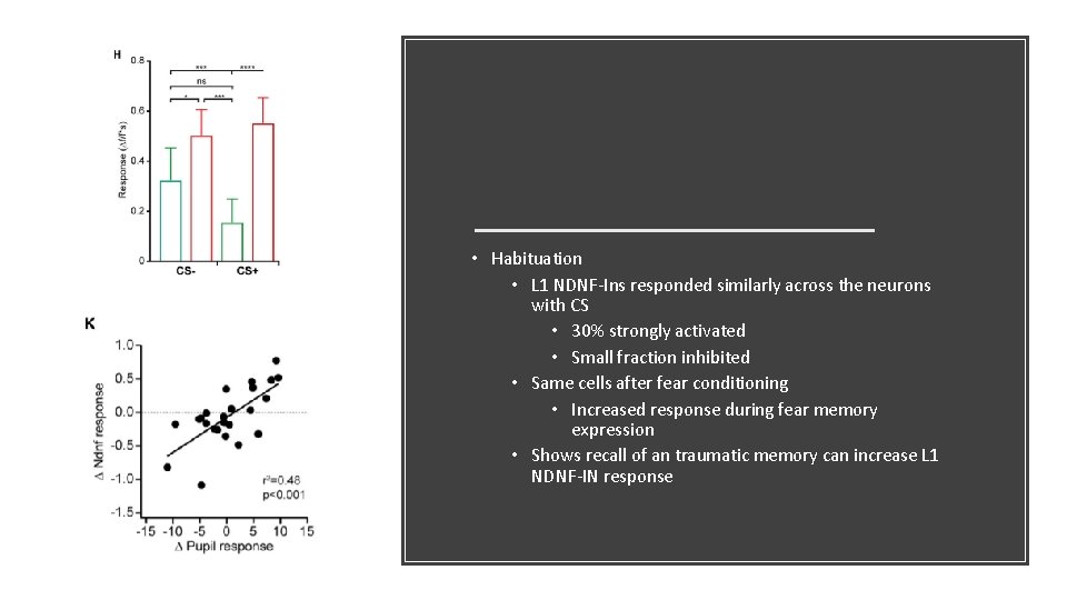 • Habituation • L 1 NDNF-Ins responded similarly across the neurons with CS • Habituation • L 1 NDNF-Ins responded similarly across the neurons with CS