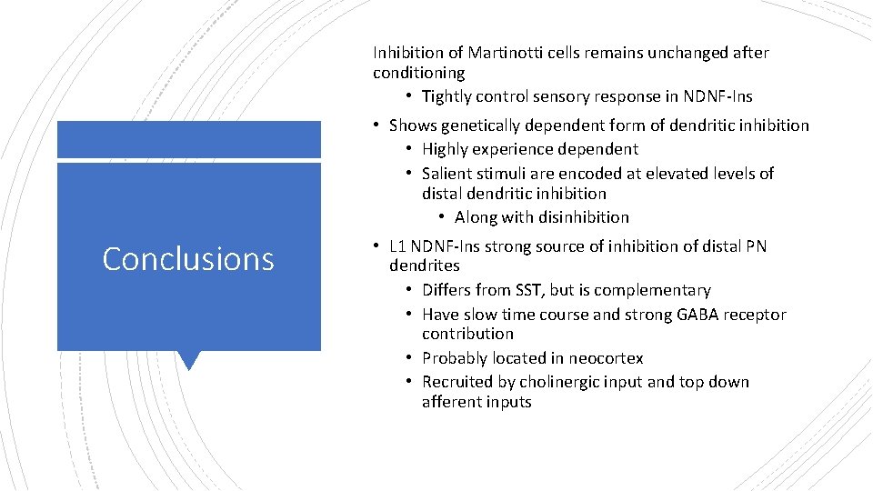 Inhibition of Martinotti cells remains unchanged after conditioning • Tightly control sensory response in Inhibition of Martinotti cells remains unchanged after conditioning • Tightly control sensory response in