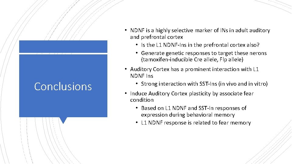 • NDNF is a highly selective marker of INs in adult auditory and • NDNF is a highly selective marker of INs in adult auditory and