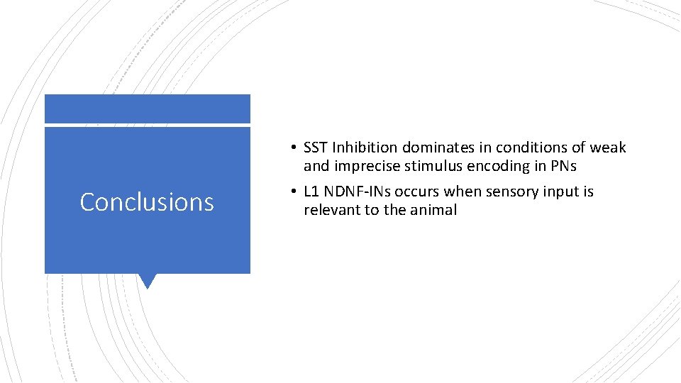 Conclusions • SST Inhibition dominates in conditions of weak and imprecise stimulus encoding in Conclusions • SST Inhibition dominates in conditions of weak and imprecise stimulus encoding in