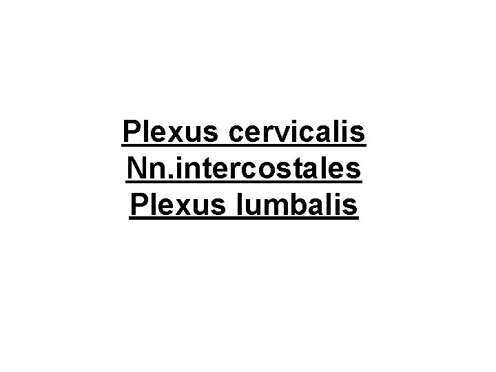 Plexus cervicalis Nn. intercostales Plexus lumbalis 