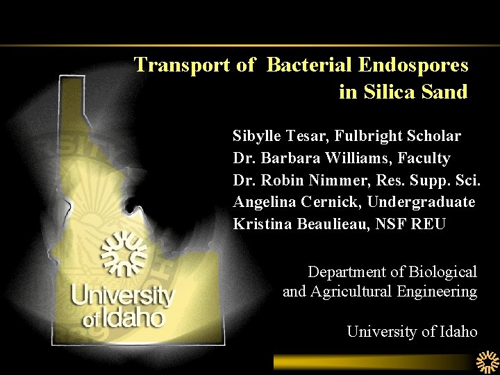 Transport of Bacterial Endospores in Silica Sand Sibylle Tesar, Fulbright Scholar Dr. Barbara Williams,