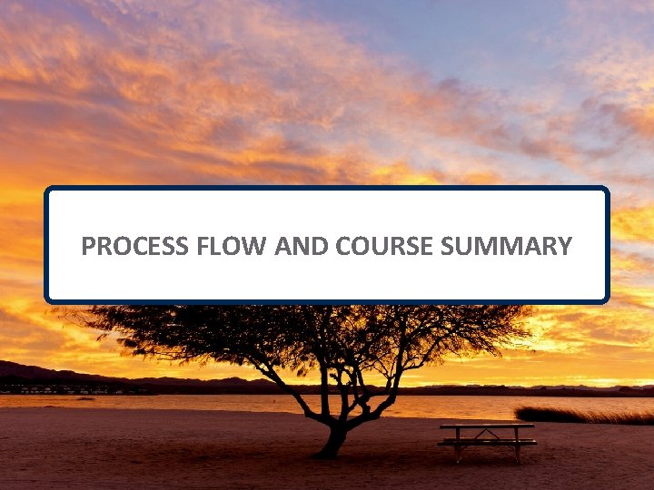 PROCESS FLOW AND COURSE SUMMARY 