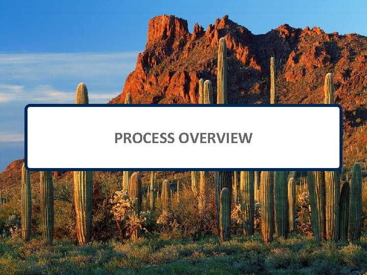PROCESS OVERVIEW 