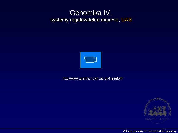 Genomika IV. systémy regulovatelné exprese, UAS http: //www. plantsci. cam. ac. uk/Haseloff/ Základy genomiky