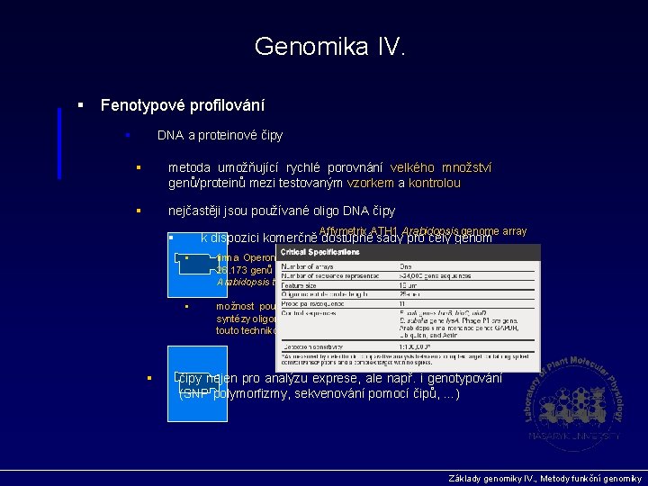 Genomika IV. § Fenotypové profilování § DNA a proteinové čipy § metoda umožňující rychlé