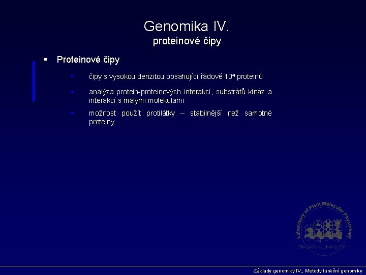 Genomika IV. proteinové čipy § Proteinové čipy § čipy s vysokou denzitou obsahující řádově