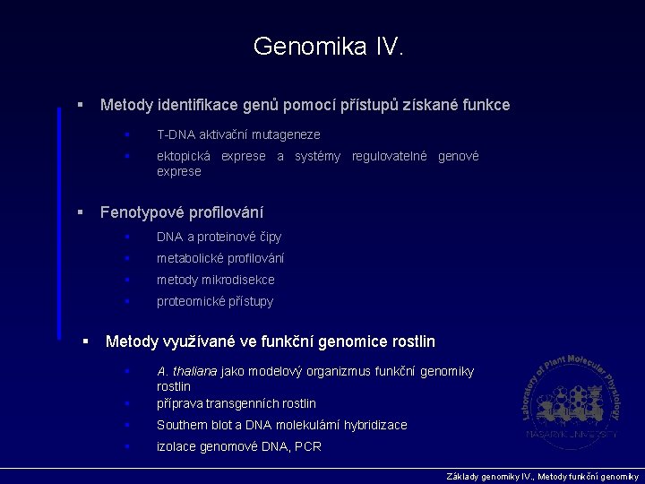 Genomika IV. § § § Metody identifikace genů pomocí přístupů získané funkce § T-DNA