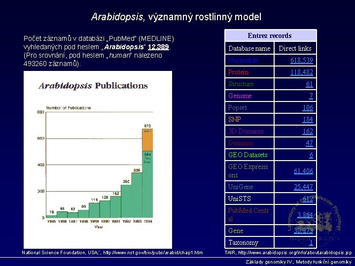 Arabidopsis, významný rostlinný model Počet záznamů v databázi „Pub. Med“ (MEDLINE) vyhledaných pod heslem