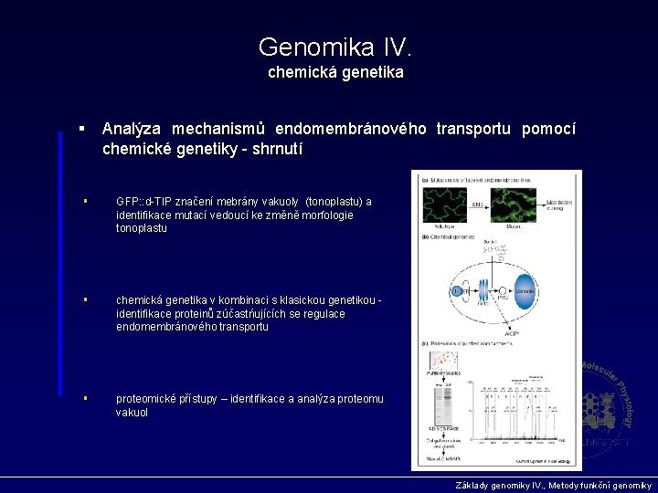 Genomika IV. chemická genetika § Analýza mechanismů endomembránového transportu pomocí chemické genetiky - shrnutí