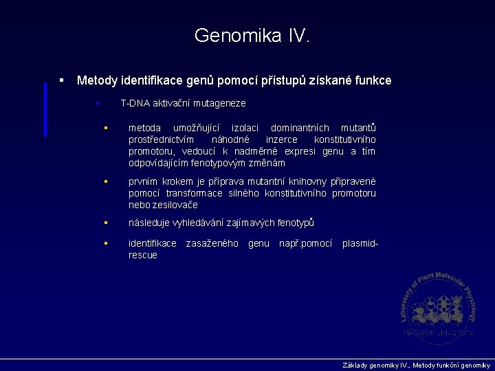 Genomika IV. § Metody identifikace genů pomocí přístupů získané funkce § T-DNA aktivační mutageneze