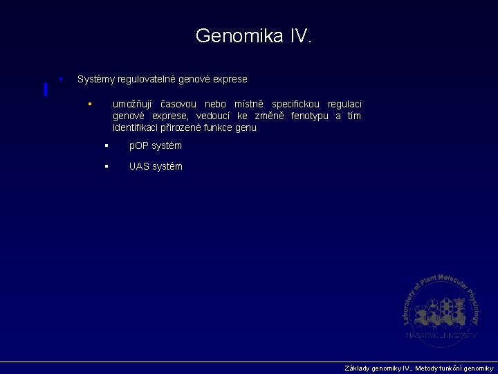 Genomika IV. § Systémy regulovatelné genové exprese § umožňují časovou nebo místně specifickou regulaci