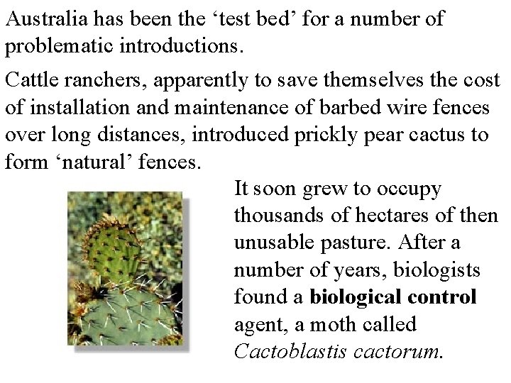 Australia has been the ‘test bed’ for a number of problematic introductions. Cattle ranchers,