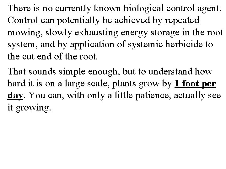 There is no currently known biological control agent. Control can potentially be achieved by