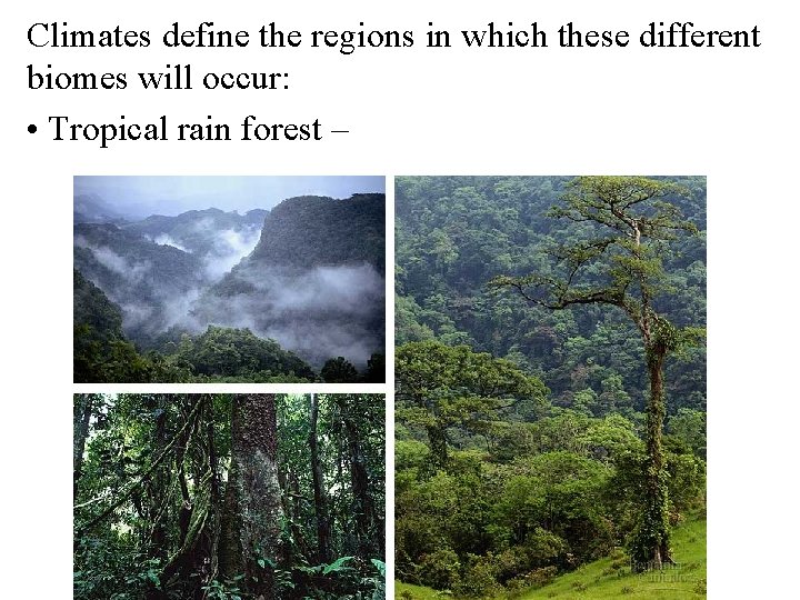 Climates define the regions in which these different biomes will occur: • Tropical rain