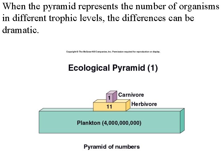 When the pyramid represents the number of organisms in different trophic levels, the differences