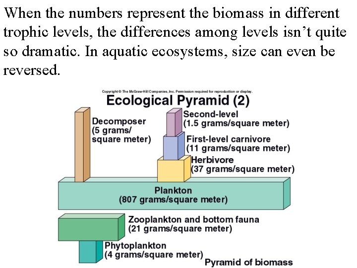 When the numbers represent the biomass in different trophic levels, the differences among levels