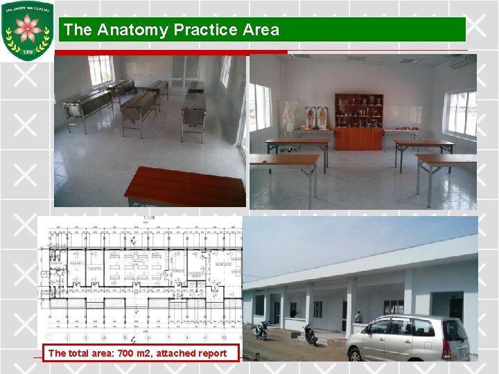 The Anatomy Practice Area The total area: 700 m 2, attached report 