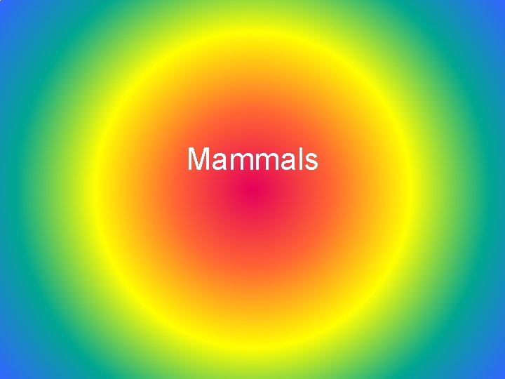 Mammals 