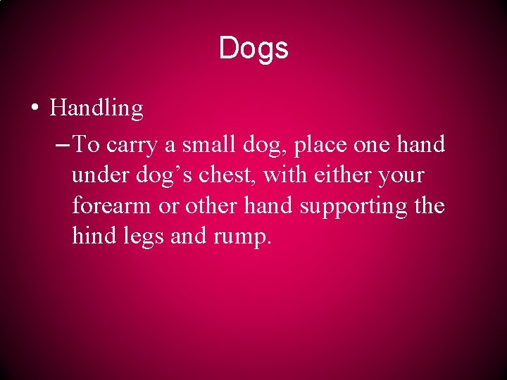 Dogs • Handling – To carry a small dog, place one hand under dog’s