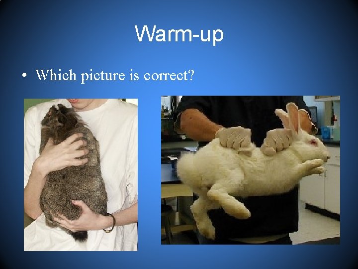 Warm-up • Which picture is correct? 