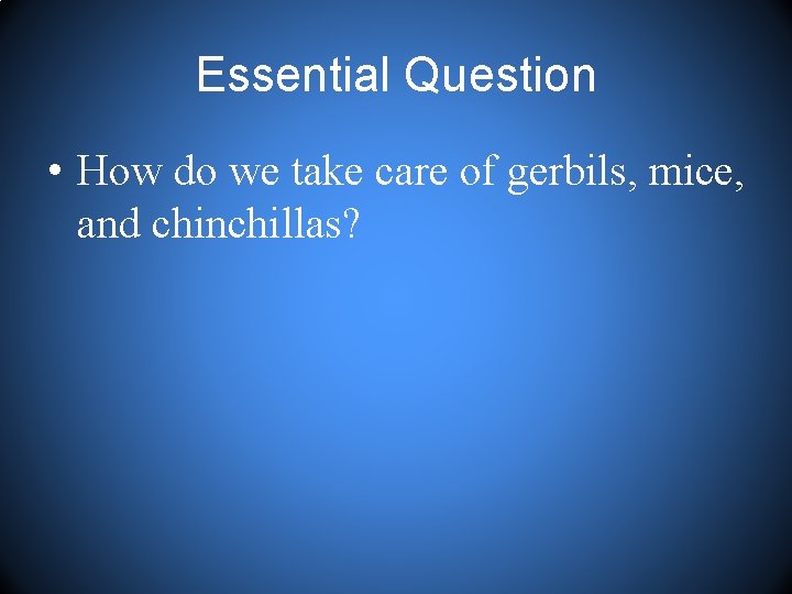 Essential Question • How do we take care of gerbils, mice, and chinchillas? 