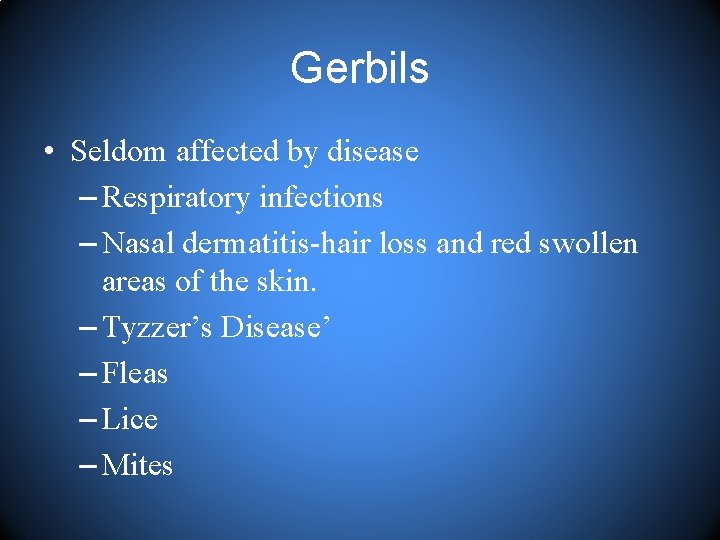 Gerbils • Seldom affected by disease – Respiratory infections – Nasal dermatitis-hair loss and
