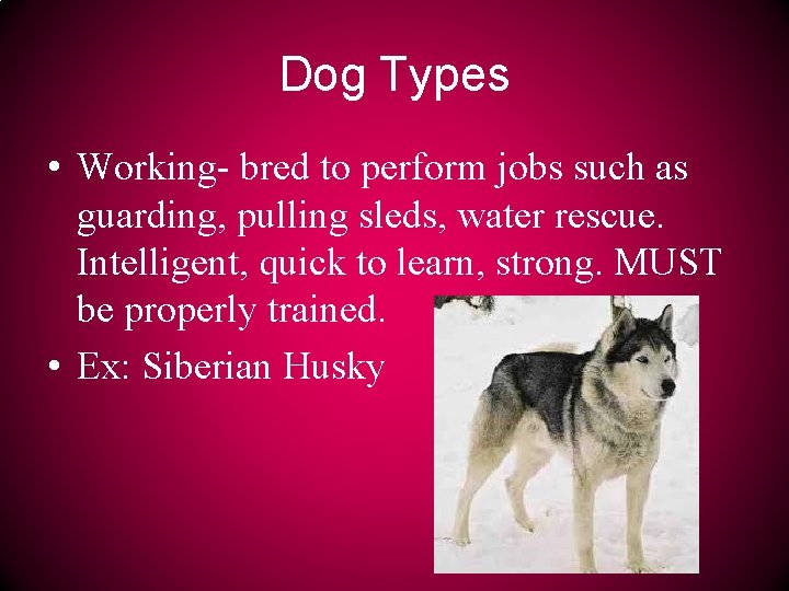 Dog Types • Working- bred to perform jobs such as guarding, pulling sleds, water