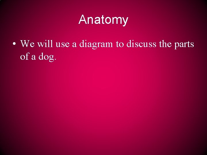 Anatomy • We will use a diagram to discuss the parts of a dog.