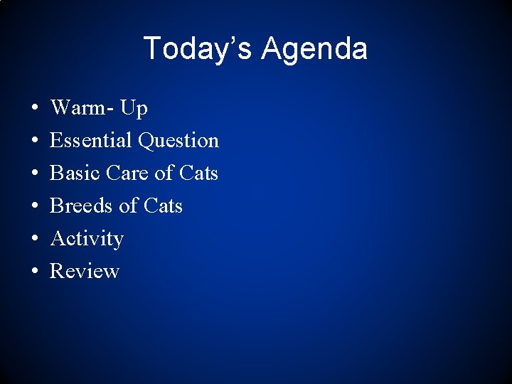 Today’s Agenda • • • Warm- Up Essential Question Basic Care of Cats Breeds