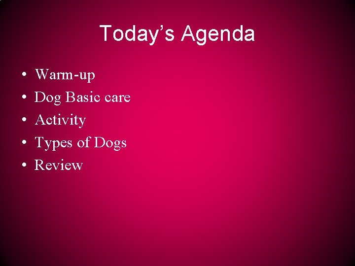 Today’s Agenda • • • Warm-up Dog Basic care Activity Types of Dogs Review
