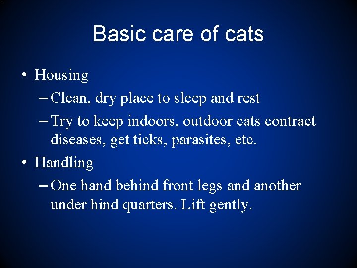 Basic care of cats • Housing – Clean, dry place to sleep and rest