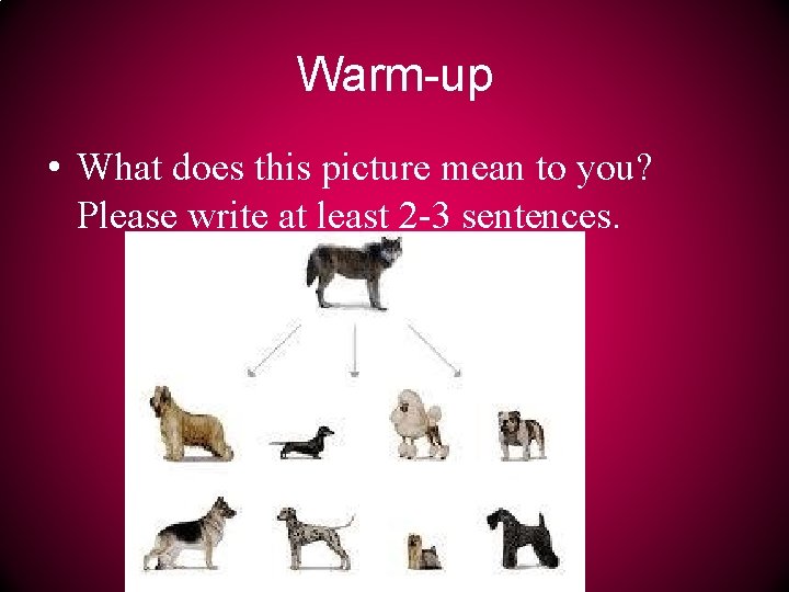 Warm-up • What does this picture mean to you? Please write at least 2