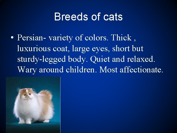Breeds of cats • Persian- variety of colors. Thick , luxurious coat, large eyes,