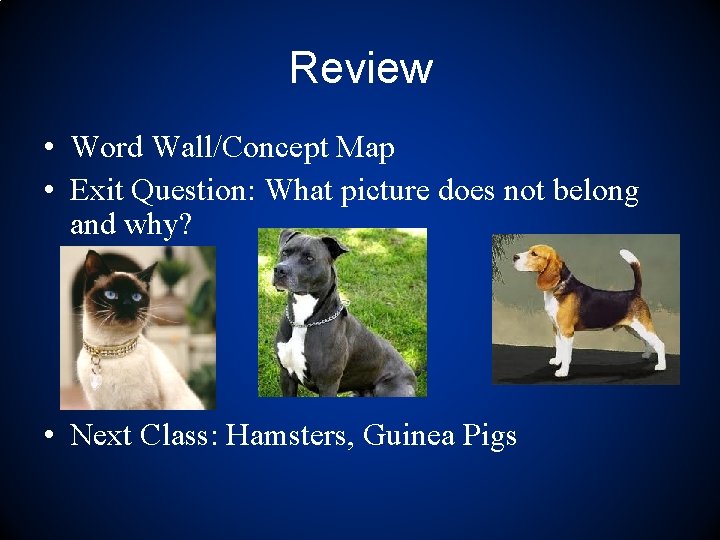 Review • Word Wall/Concept Map • Exit Question: What picture does not belong and