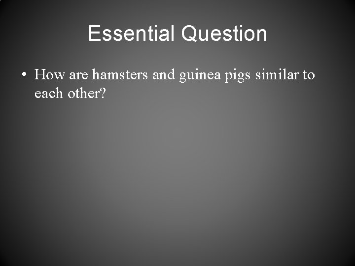 Essential Question • How are hamsters and guinea pigs similar to each other? 