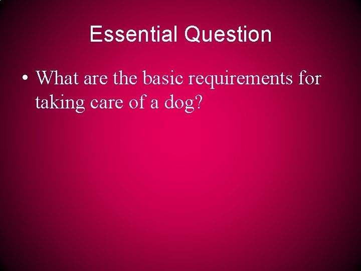 Essential Question • What are the basic requirements for taking care of a dog?