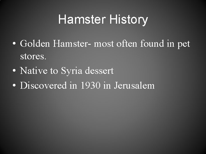 Hamster History • Golden Hamster- most often found in pet stores. • Native to