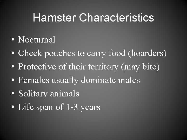 Hamster Characteristics • • • Nocturnal Cheek pouches to carry food (hoarders) Protective of