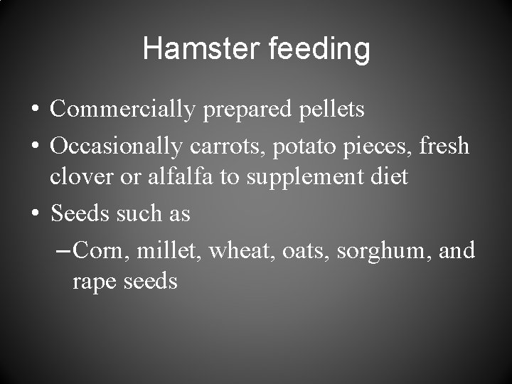 Hamster feeding • Commercially prepared pellets • Occasionally carrots, potato pieces, fresh clover or