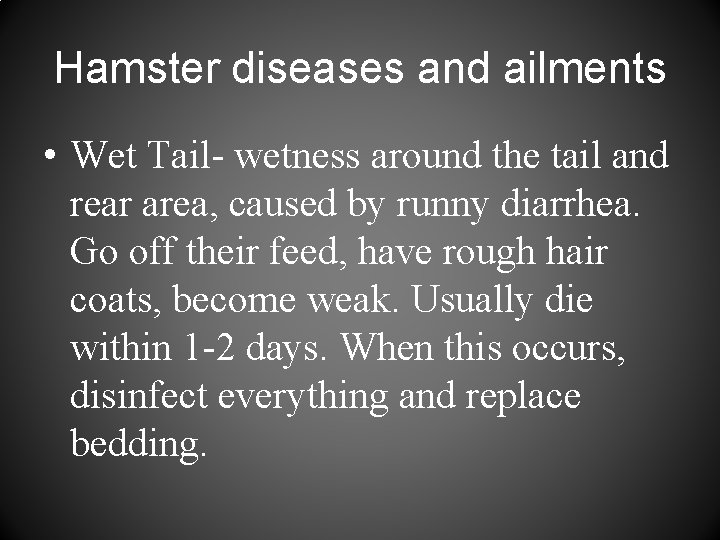 Hamster diseases and ailments • Wet Tail- wetness around the tail and rear area,