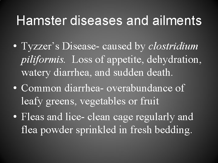 Hamster diseases and ailments • Tyzzer’s Disease- caused by clostridium piliformis. Loss of appetite,