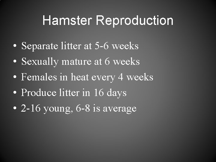 Hamster Reproduction • • • Separate litter at 5 -6 weeks Sexually mature at